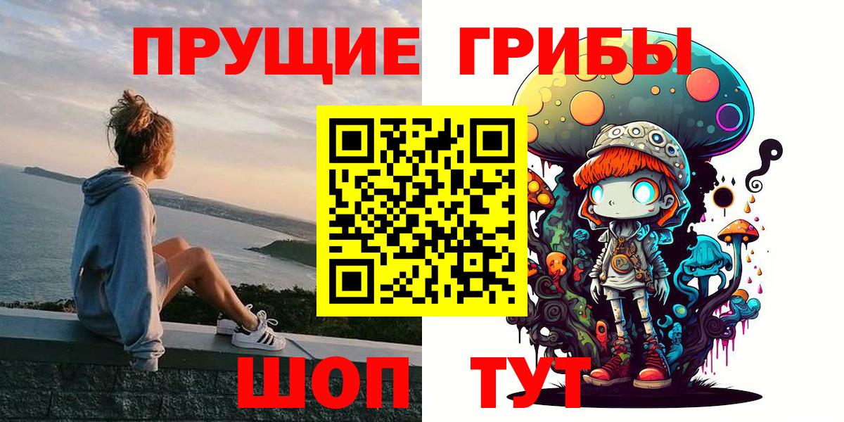 Псилоцибиновые грибы Psilocybe  Вход с VPN  Избербаш 