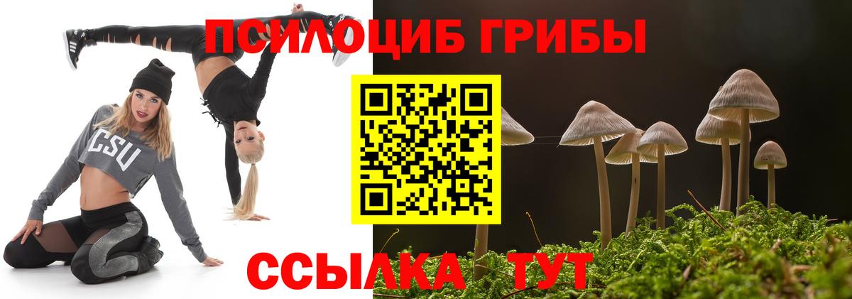 Псилоцибиновые грибы Psilocybine cubensis Избербаш